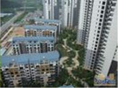 東莞珠佳房地產(chǎn) 專業(yè)房地產(chǎn)代理服務，助力投資與登記無憂